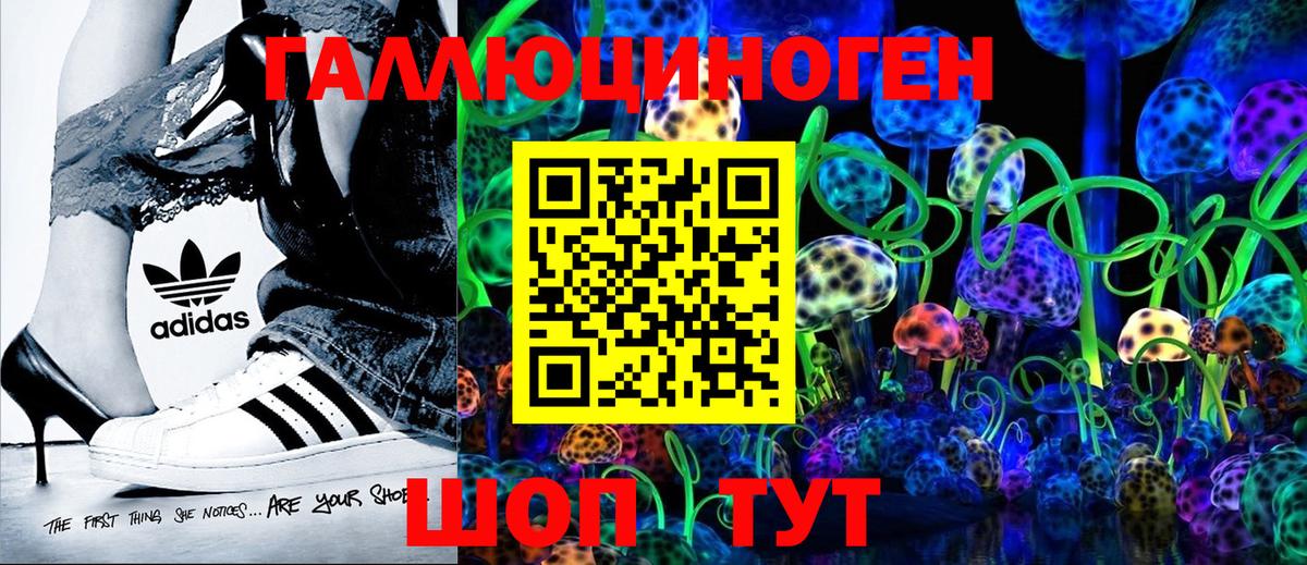 Карасук  Псилоцибиновые грибы мицелий  Вход с VPN 