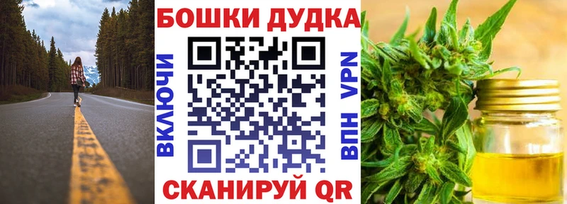 Бошки Шишки ГИДРОПОН  Карасук 
